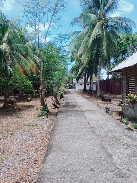 House and Lot for sale in Siaton - image 11