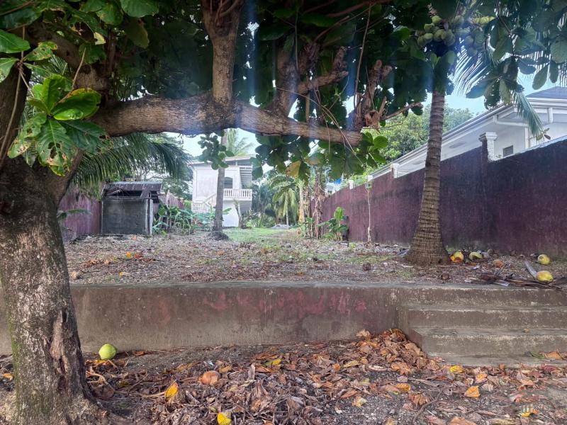 House and Lot for sale in Siaton - image 12
