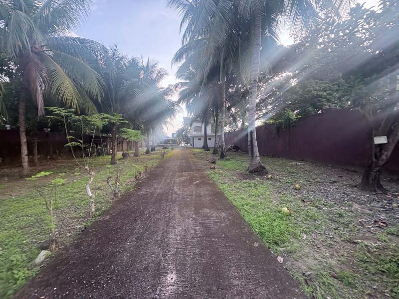 House and Lot for sale in Siaton - image 13