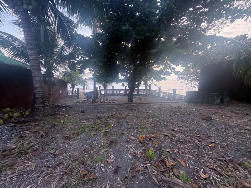 House and Lot for sale in Siaton - image 14