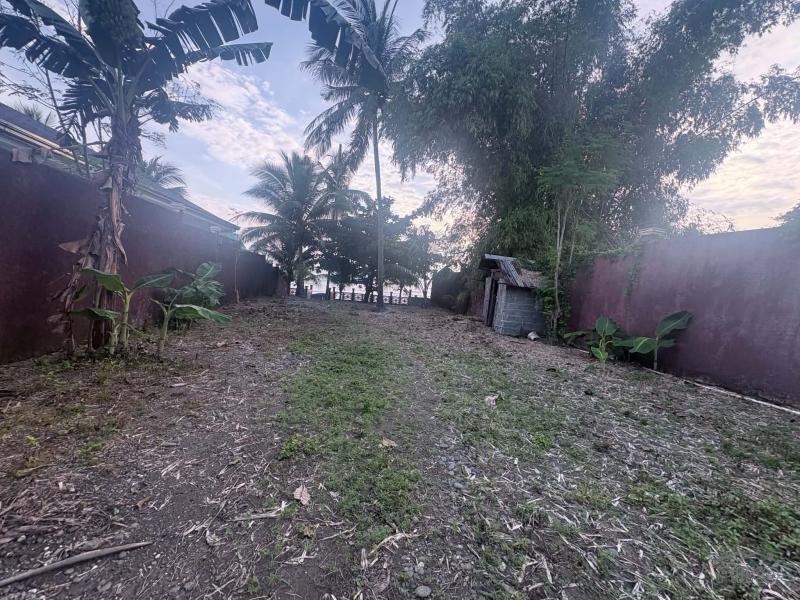 House and Lot for sale in Siaton - image 15