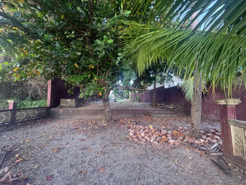 House and Lot for sale in Siaton - image 18