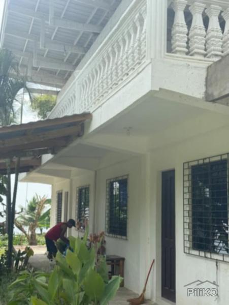House and Lot for sale in Siaton - image 3