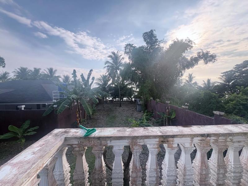 House and Lot for sale in Siaton - image 8