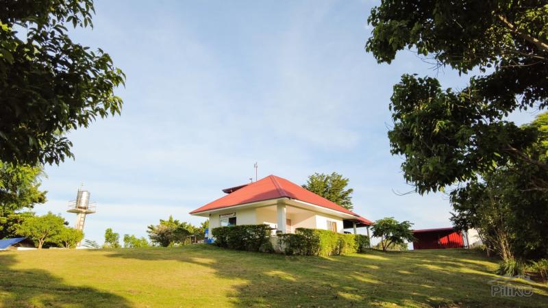 4 bedroom House and Lot for sale in Siaton - image 14