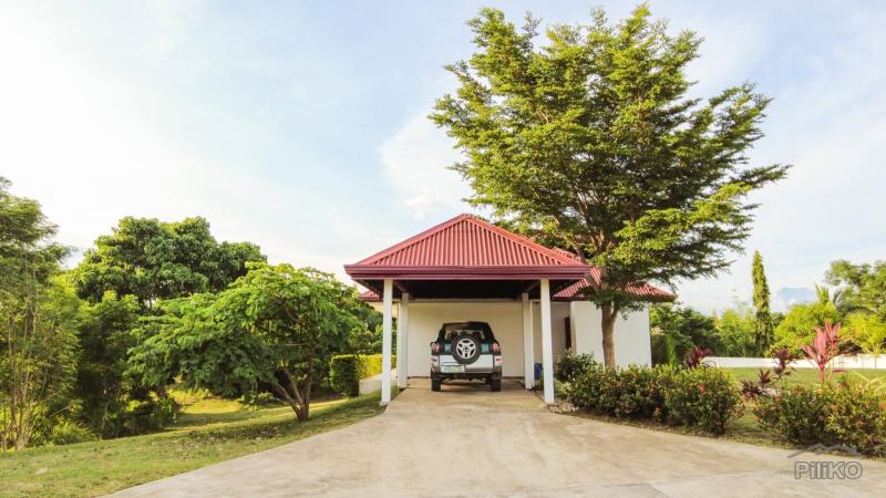 4 bedroom House and Lot for sale in Siaton - image 15
