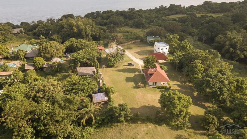 4 bedroom House and Lot for sale in Siaton - image 16