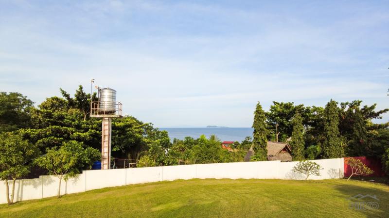 4 bedroom House and Lot for sale in Siaton - image 17