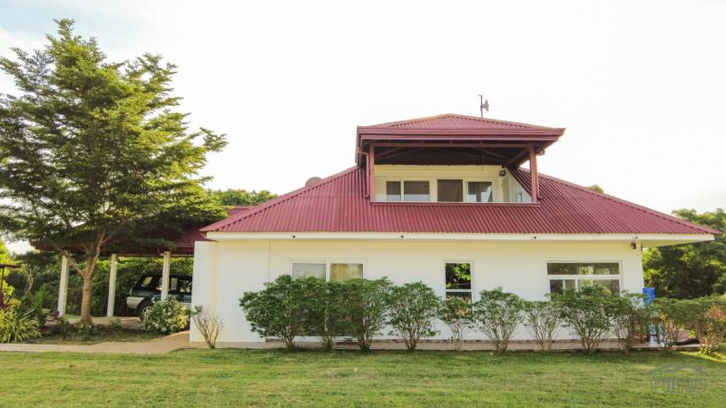 4 bedroom House and Lot for sale in Siaton - image 19