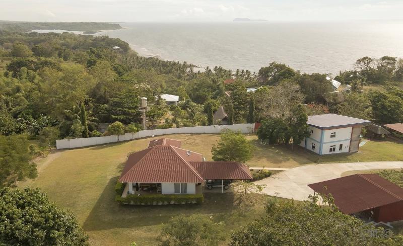 Picture of 4 bedroom House and Lot for sale in Siaton