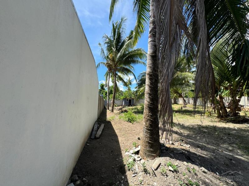 Residential Lot for sale in Valencia - image 2