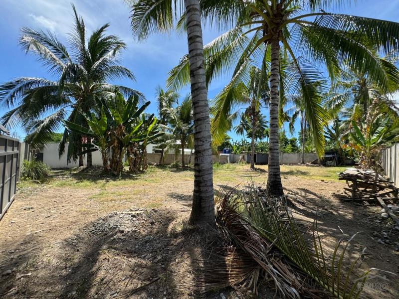 Residential Lot for sale in Valencia - image 3
