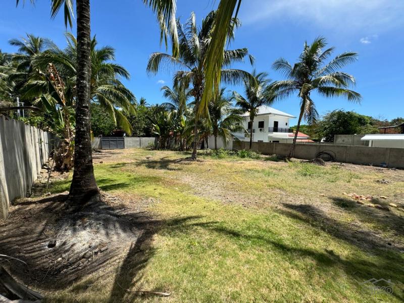 Residential Lot for sale in Valencia - image 4