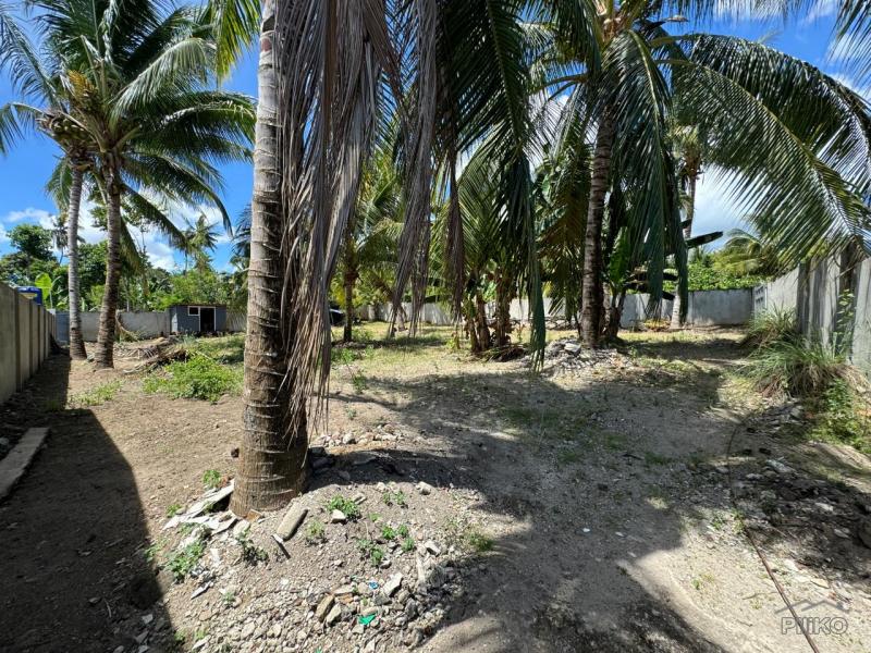 Residential Lot for sale in Valencia - image 8