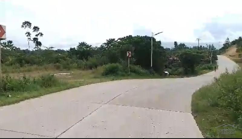 Land and Farm for sale in Mabinay - image 10
