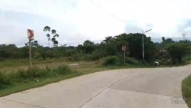 Land and Farm for sale in Mabinay - image 11