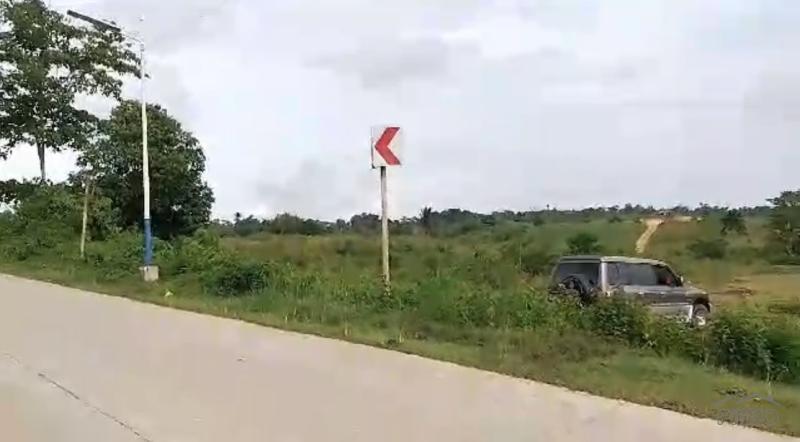 Land and Farm for sale in Mabinay - image 12