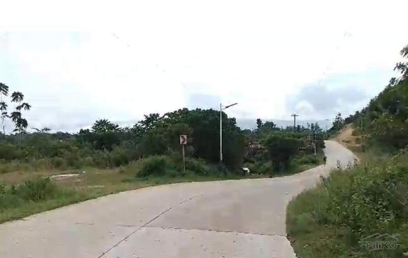 Land and Farm for sale in Mabinay - image 13