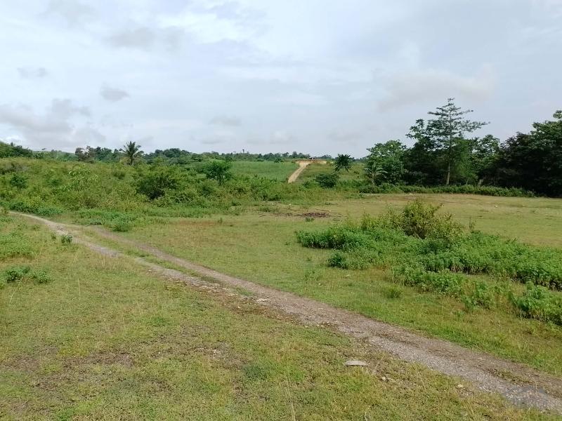 Picture of Land and Farm for sale in Mabinay