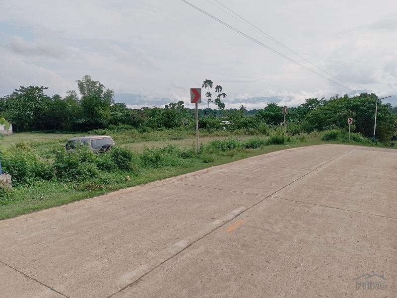 Land and Farm for sale in Mabinay - image 2