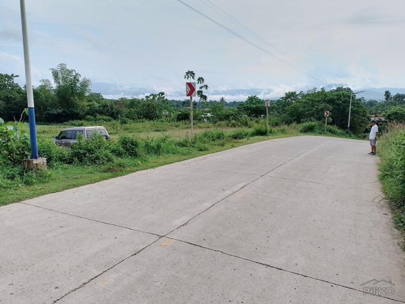Land and Farm for sale in Mabinay - image 3