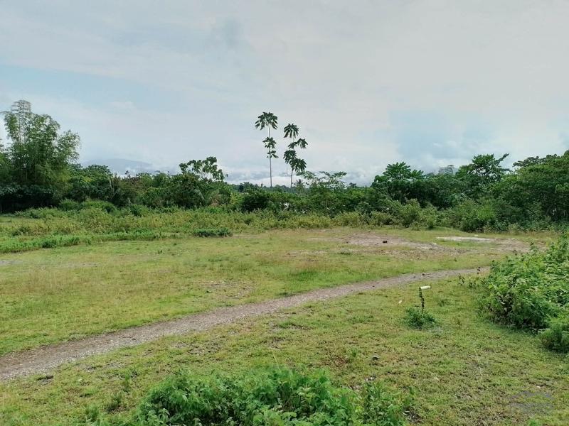Land and Farm for sale in Mabinay - image 4