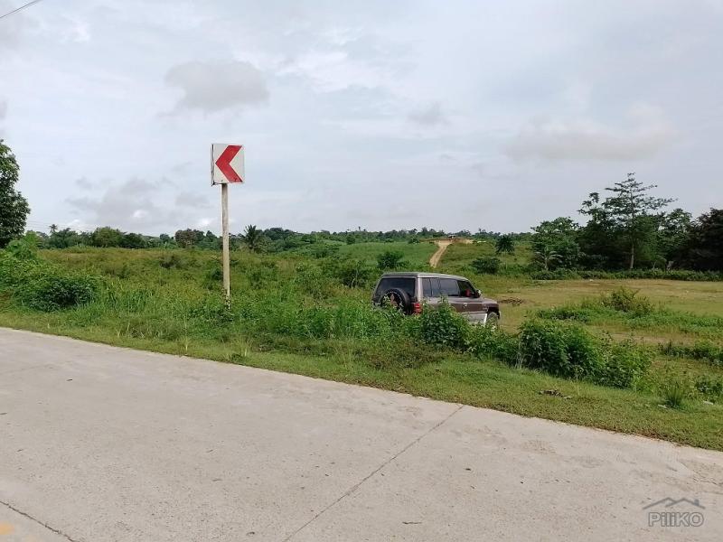 Land and Farm for sale in Mabinay - image 5