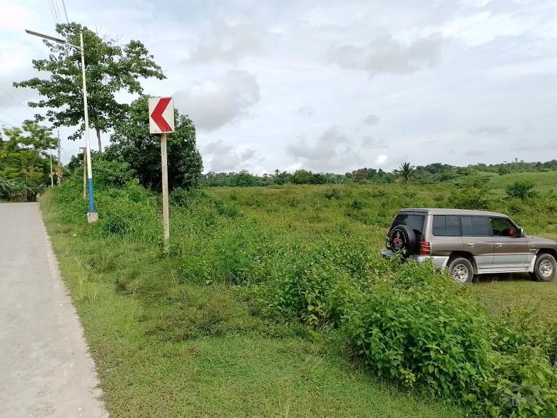 Land and Farm for sale in Mabinay - image 6