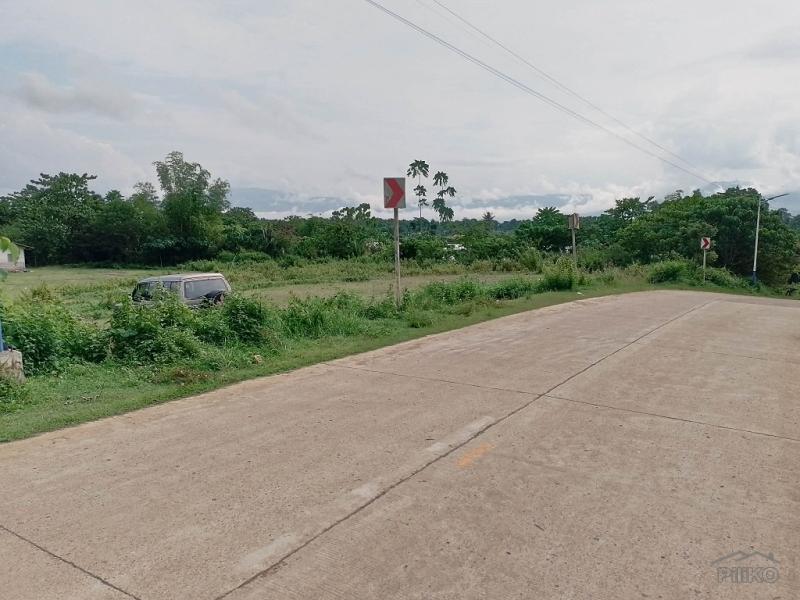 Land and Farm for sale in Mabinay - image 7