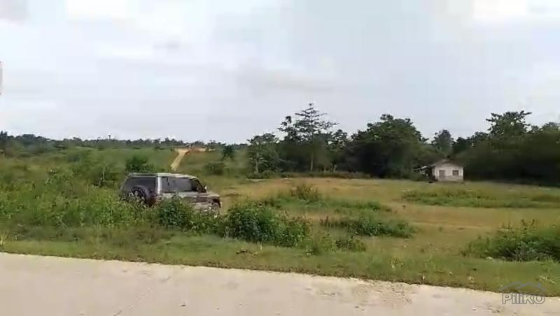 Land and Farm for sale in Mabinay - image 8