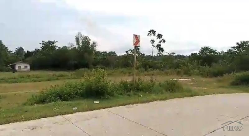 Land and Farm for sale in Mabinay - image 9