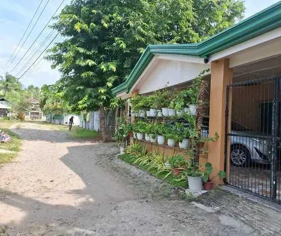 Pictures of 3 bedroom House and Lot for sale in Bacong