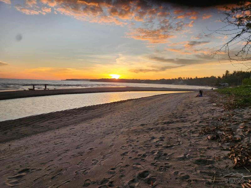 Picture of Commercial Lot for sale in Zamboanguita