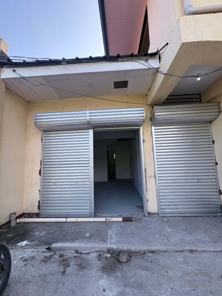 Other commercial for sale in Zamboanguita - image 10