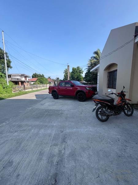 Other commercial for sale in Zamboanguita - image 19