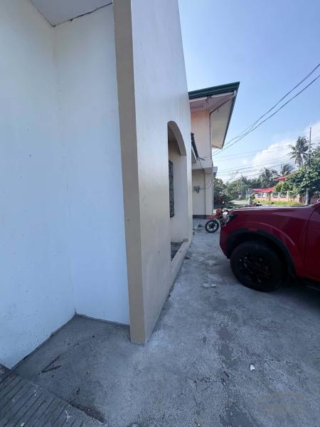 Other commercial for sale in Zamboanguita - image 8