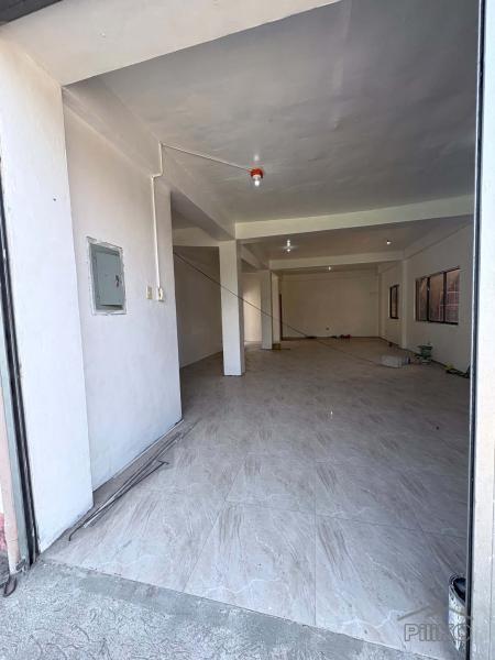 Other commercial for sale in Zamboanguita - image 9