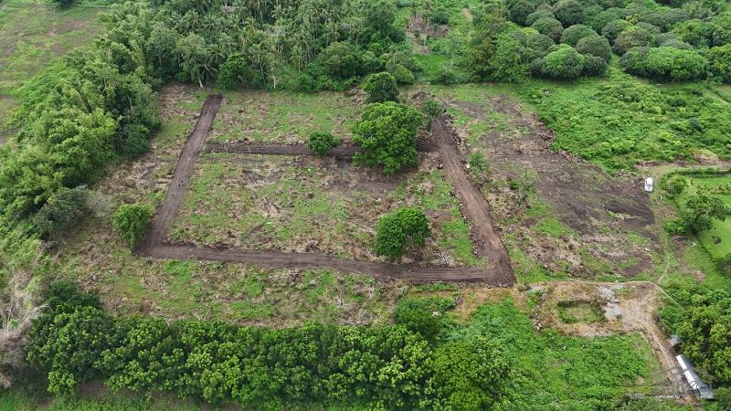 Pictures of Residential Lot for sale in Dauin