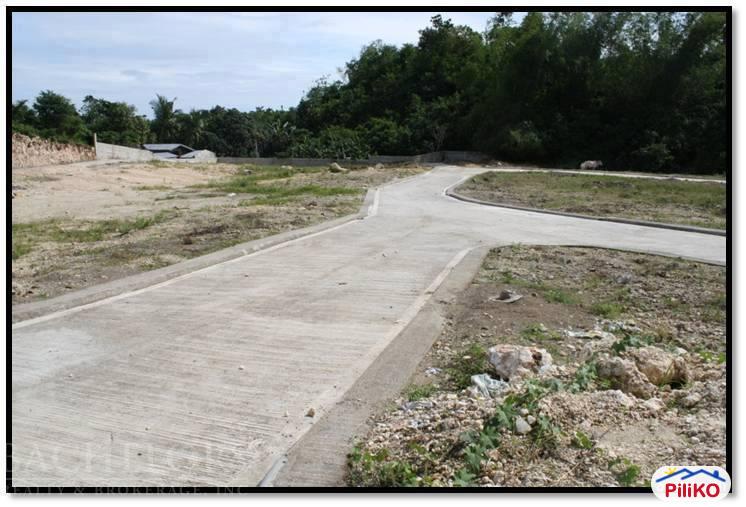 Commercial Lot for sale in Cebu City - image 10