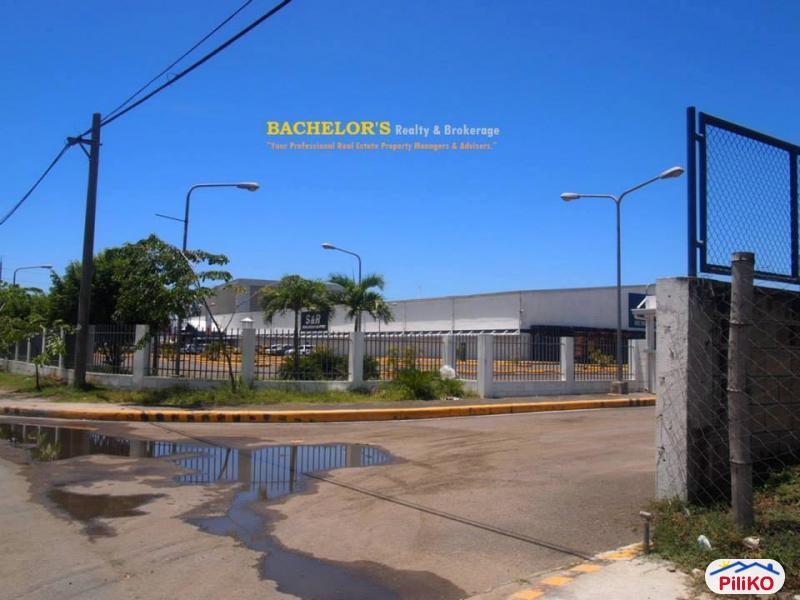 Agricultural Lot for sale in Cebu City - image 10