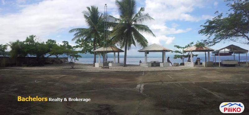 Commercial Lot for sale in Cebu City - image 10
