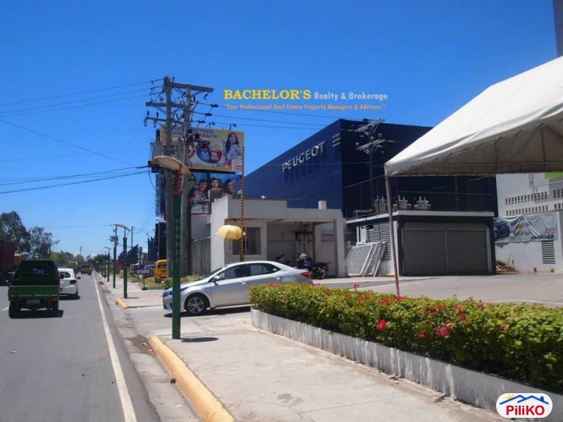 Agricultural Lot for sale in Cebu City - image 11