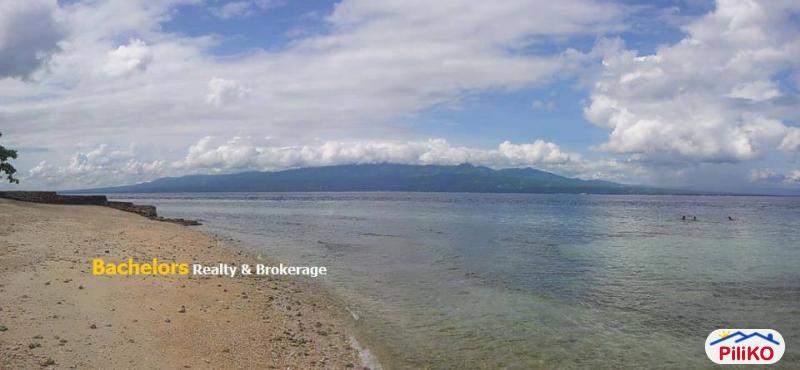 Commercial Lot for sale in Cebu City - image 11