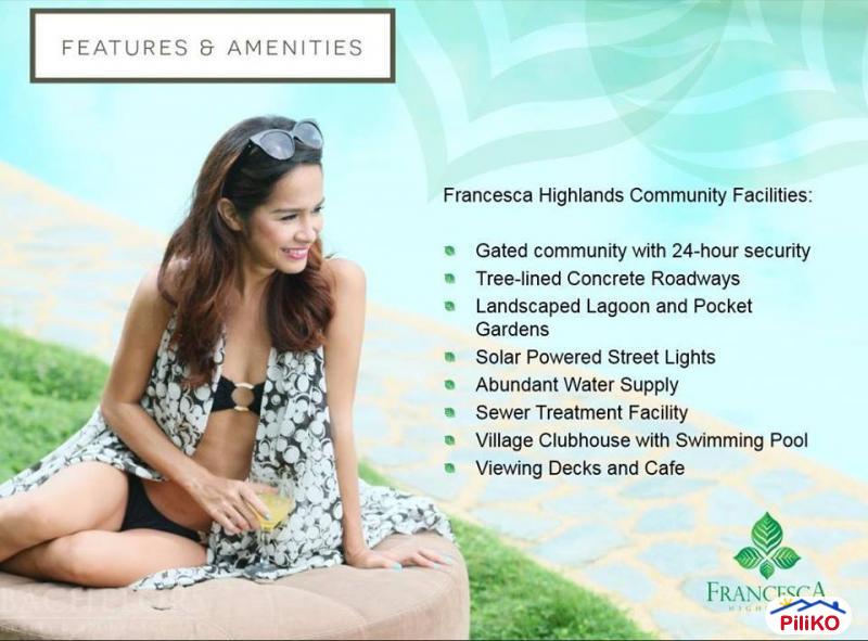 Other lots for sale in Cebu City - image 11