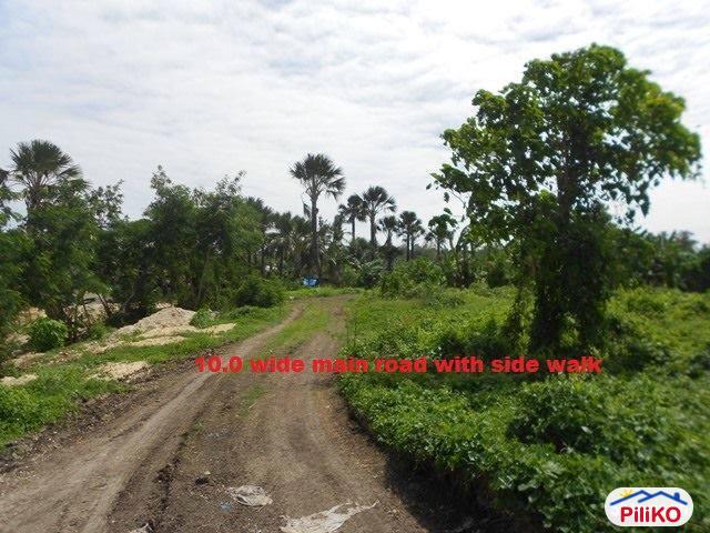 1 bedroom House and Lot for sale in Cebu City - image 12
