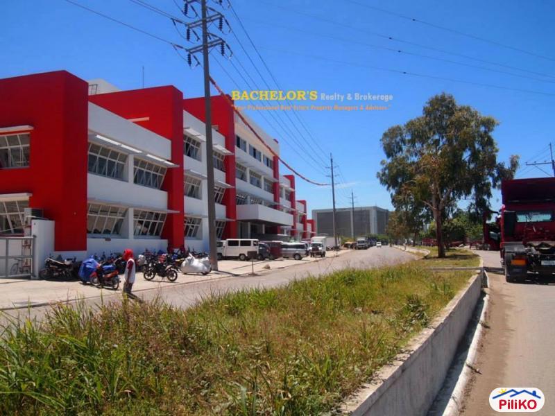 Agricultural Lot for sale in Cebu City - image 12