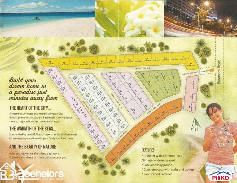 Picture of Agricultural Lot for sale in Cebu City