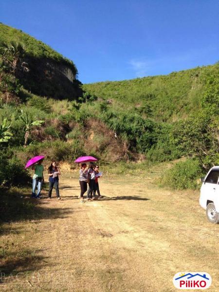Pictures of Residential Lot for sale in Cebu City