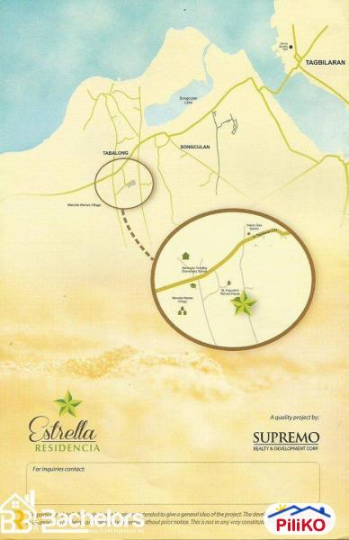 Agricultural Lot for sale in Cebu City