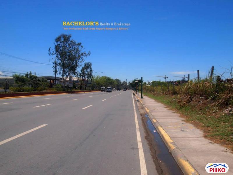 Agricultural Lot for sale in Cebu City